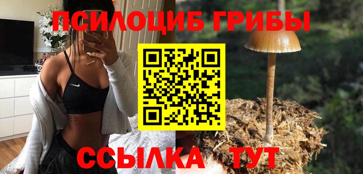 Псилоцибиновые грибы Cubensis Алексин