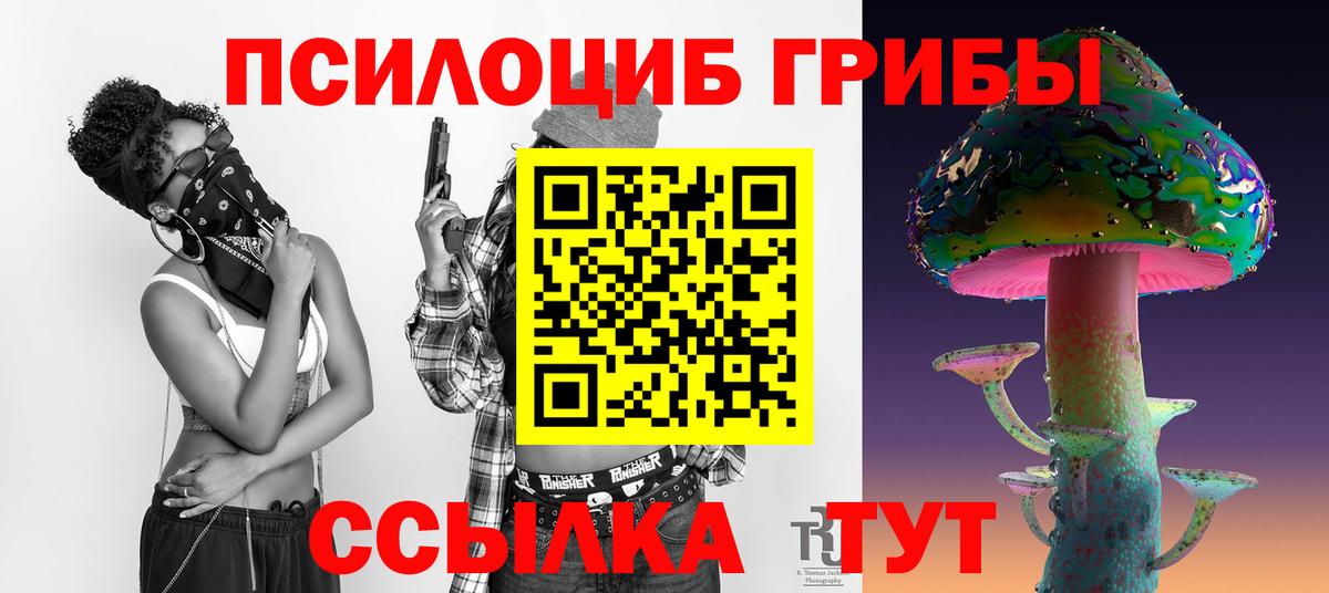 Псилоцибиновые грибы GOLDEN TEACHER  Вход с VPN  Алексин 